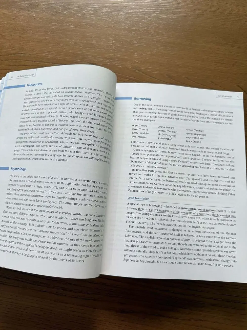 The Study of Language by George Yule Sixth Edition Paperback Textbook
